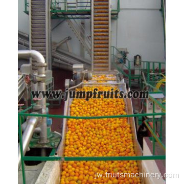 NFC Fruit Processing Line Processing Jus Orange